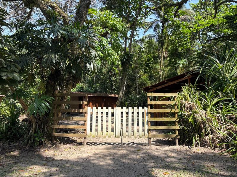 Surf Camping São José